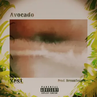 Avocado by Zest