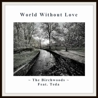 World Without Love by The Birchwoods