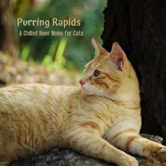 Purring Rapids: A Chilled River Noise for Cats by For Cats Only