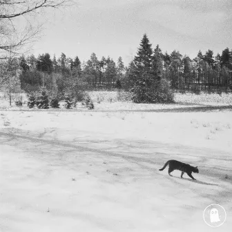 Snow Cat by Easy Deviance