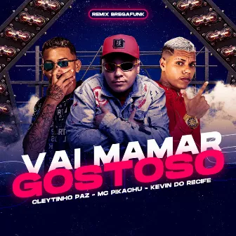 Vai Mamar Gostoso (Bregafunk Remix) by Cleytinho Paz