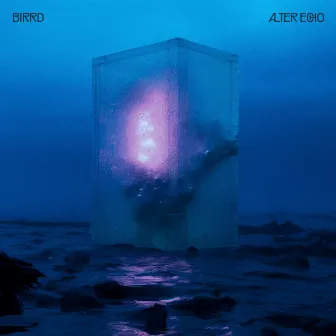 Alter Echo by Birrd