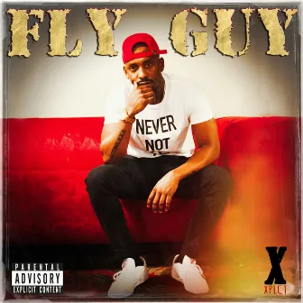 Fly Guy by Fly Guy