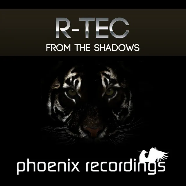 From the Shadows - Extended Mix