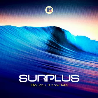 Do You Know Me by Surplus