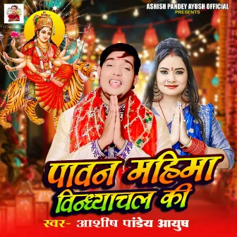 Pavan Mahima Vindhyachal Ki by Ashish Pandey Ayush