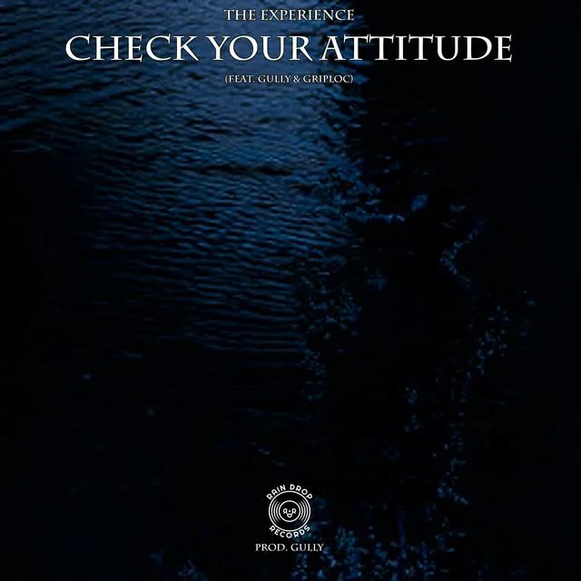 Check Your Attitude