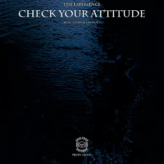 Check Your Attitude by R.D.R