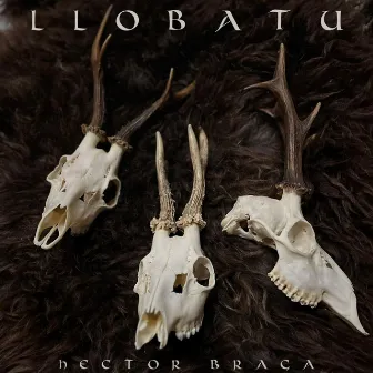 Llobatu by Hector Braga