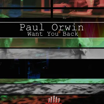 Want You Back by Paul Orwin