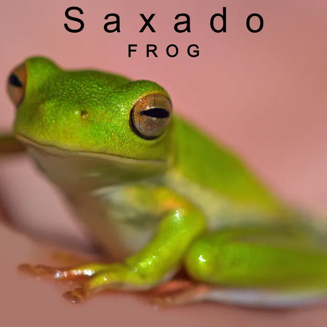 Frog - Cut Mix