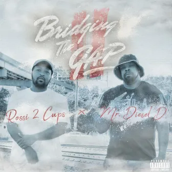 Bridging The Gap, Vol. 2 by Mr. Diesel D