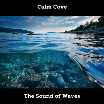 Calm Cove: The Sound of Waves by ASMR Ocean Waves