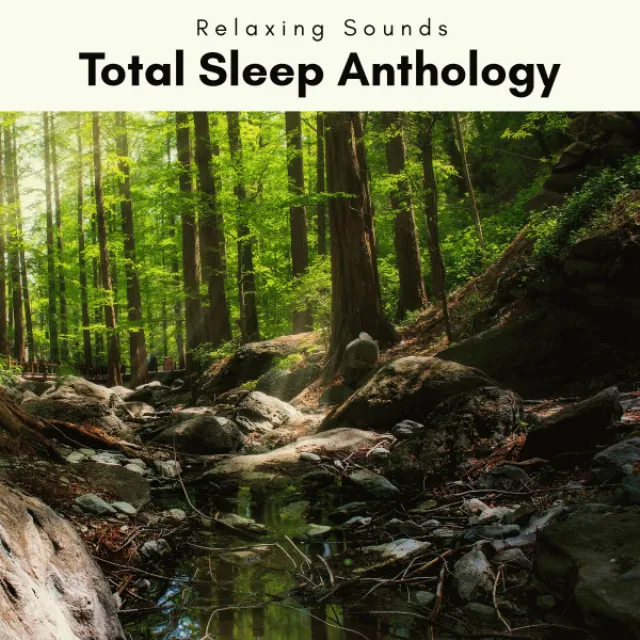 Sleep Away with Gentle Nature Sounds for Total Relax pt. 1