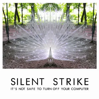 It's Not Safe to Turn off Your Computer by Silent Strike