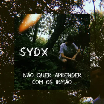 Não Quer Aprender Com os Irmão by sydx