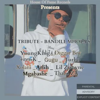 Tribute - Bandile Mhlola's by Youngking