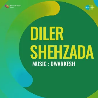 Diler Shehzada (Original Motion Picture Soundtrack) by Unknown Artist