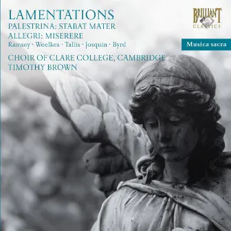 Lamentations by Timothy Brown