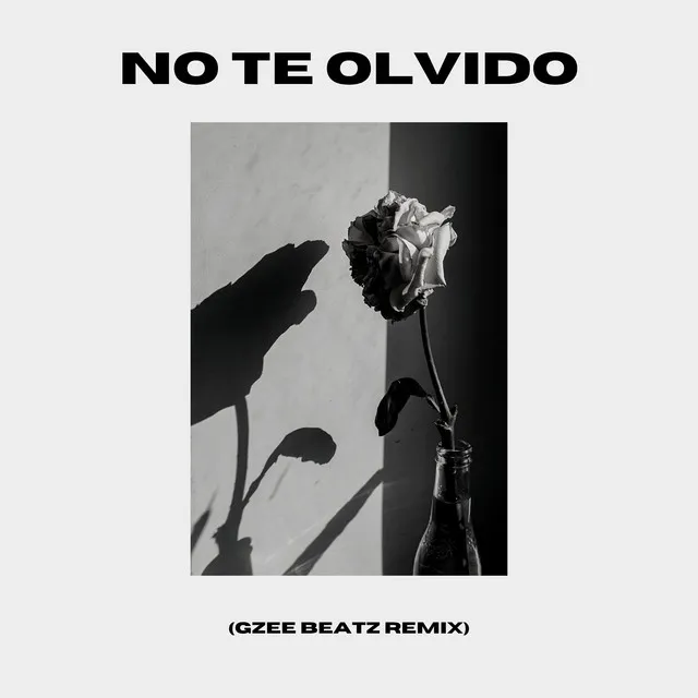 No Te Olvido - Remix