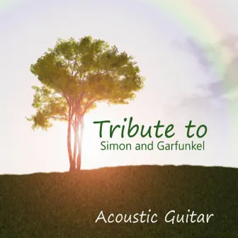 Acoustic Guitar: Tribute to Simon and Garfunkel by Acoustic Guitar Tribute Players