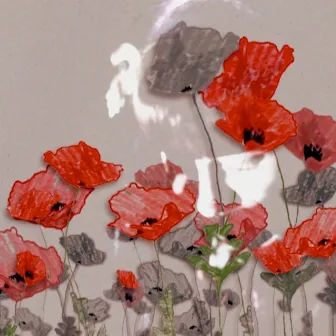 Poppies by Forest Fawn