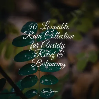 50 Loopable Rain Collection for Anxiety Relief & Balancing by Music For Absolute Sleep