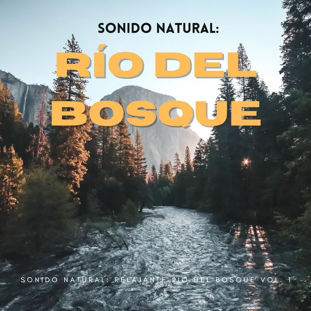 Sonido Natural: Relajante Río Del Bosque Vol. 1