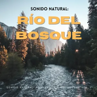 Sonido Natural: Relajante Río Del Bosque Vol. 1 by Relajante clásica