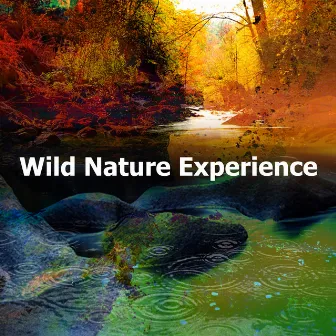 Wild Nature Experience by Relaxing Sounds of Nature