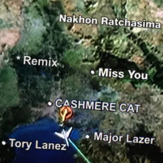 Miss You (Remixes) by Cashmere Cat