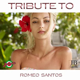 29 Best Hits: Tribute to Romeo Santos by Unknown Artist