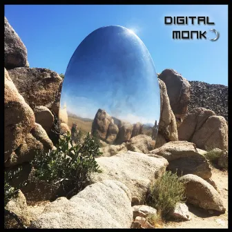 Digital Monk by Digital Monk