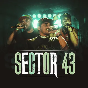 10 Años by Sector 43