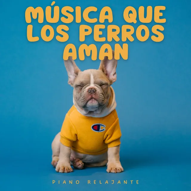 Música Que Los Perros Aman: Piano Relajante