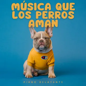 Música Que Los Perros Aman: Piano Relajante by Música para perros TA