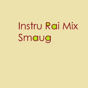 Instru Rai Mix by Smaug