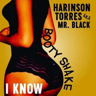 I Know by Harinson Torres