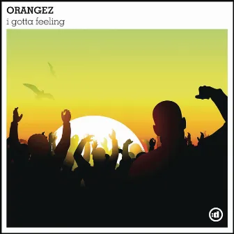 I Gotta Feeling by Orangez