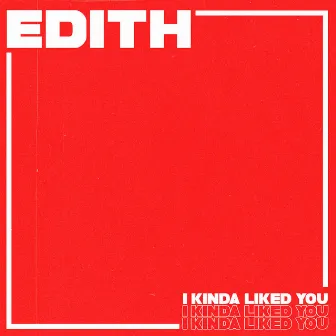 I Kinda Liked You by Edith