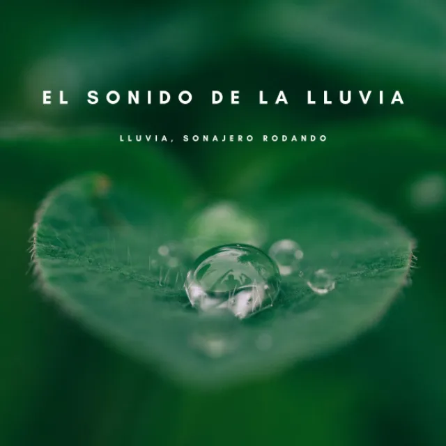 El Sonido De La Lluvia: Lluvia, Sonajero Rodando