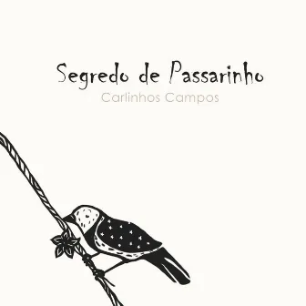 Segredo de Passarinho by Carlinhos Campos