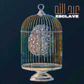 Esclave by Abdallah