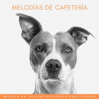 Melodías De Cafetería: Música De Jazz De Cafetería Para Perros by Jazz para perros