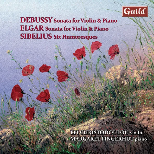 Sonata for violin and piano E Minor, Op. 82: I. Allegro