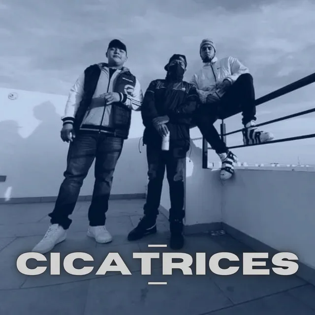 Cicatrices