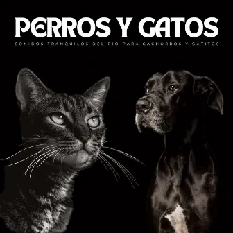 Perros Y Gatos: Sonidos Tranquilos Del Río Para Cachorros Y Gatitos by Biblioteca de música para perros