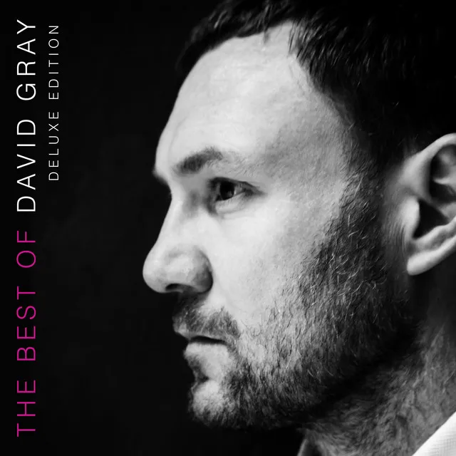 The Best of David Gray (Deluxe Edition)