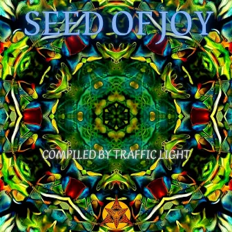 Seed of Joy by Traffic Light