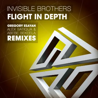 Flight in Depth by Invisible Brothers